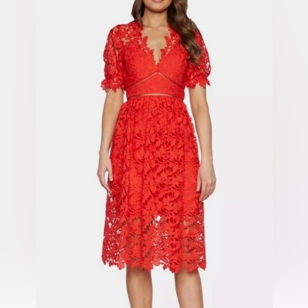Bardot lace embroidered floral dress